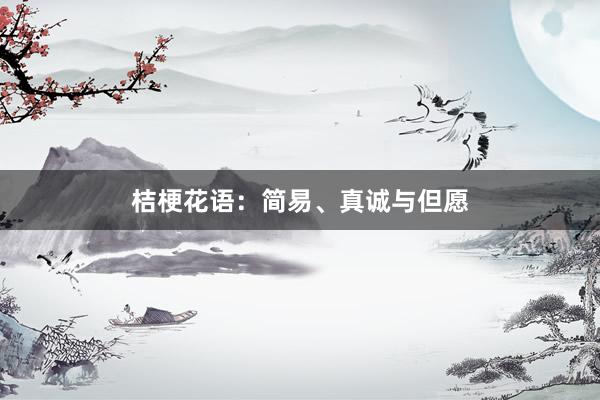 桔梗花语：简易、真诚与但愿