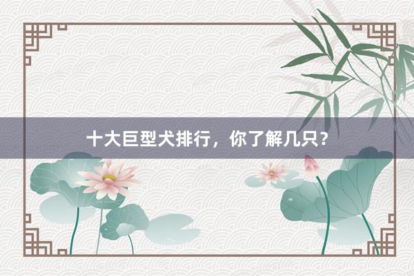 十大巨型犬排行，你了解几只？