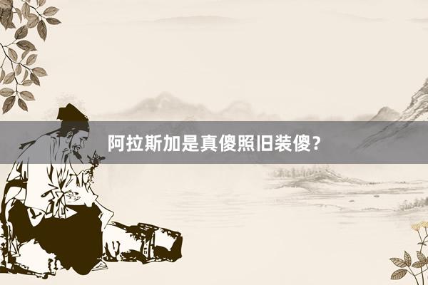 阿拉斯加是真傻照旧装傻？