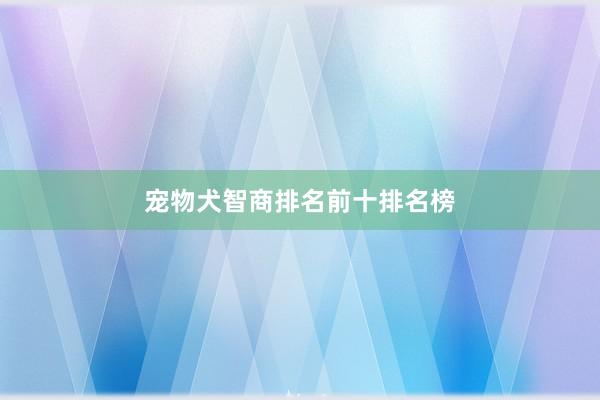 宠物犬智商排名前十排名榜