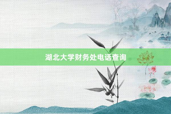 湖北大学财务处电话查询